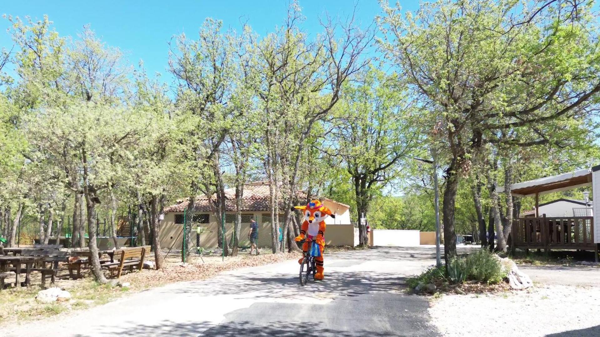 Rives Du De Sainte Croix Campingplatz Bauduen